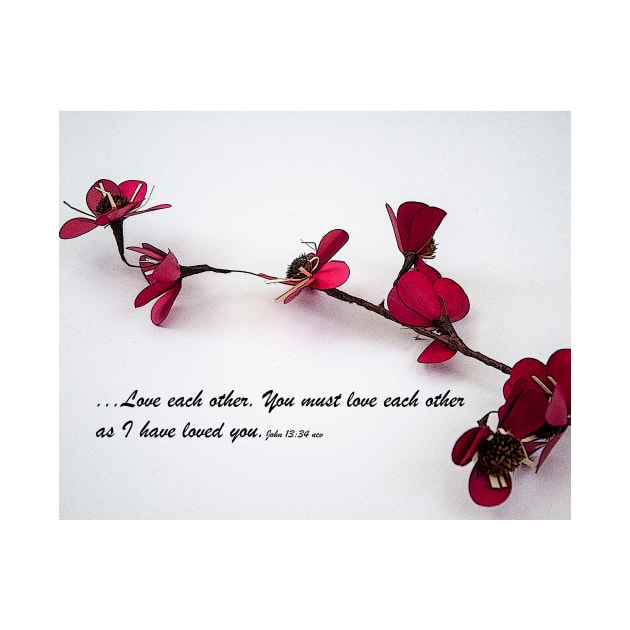 Love Each Other Red Single Stem by KirtTisdale