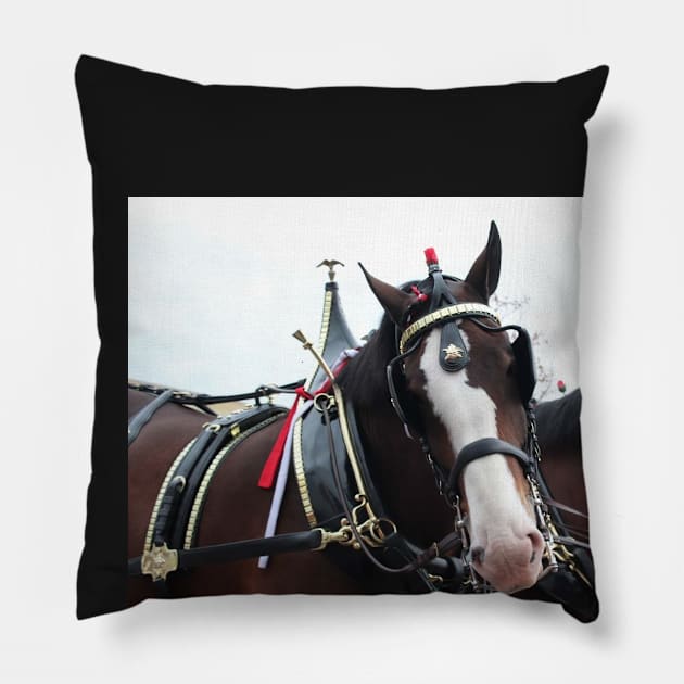 Horse Pillow by non-existent