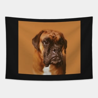 Quino the boxer. Tapestry