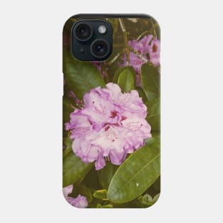 The Magical Secret Garden Phone Case