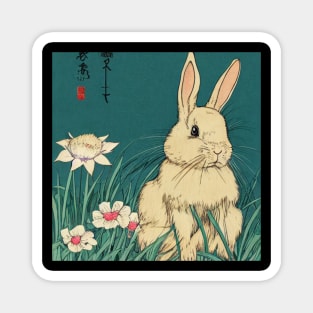 American Fuzzy Lop Rabbit Baby Bunny with White Flowers Magnet