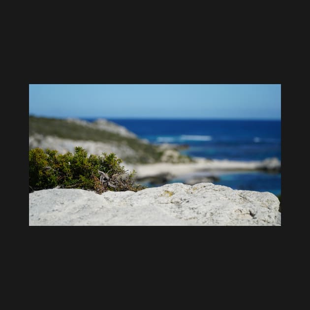 Rottnest 7 by James Mclean