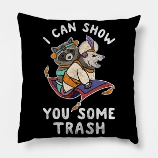 i can show you some trash Pillow
