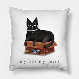 Cartoon black cat in a box and the inscription "My box - my rules". Pillow