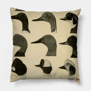 Duck Heads Pillow