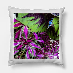 Colorful Plant Leaves Pillow