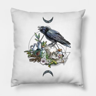 The Blue Raven Pillow