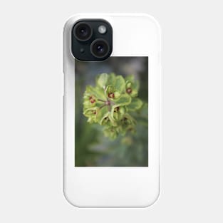 Extra green euphorbia Phone Case