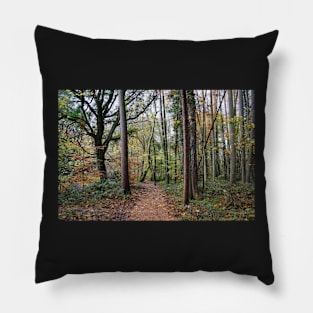 Autumn Woodland Path - Leaves Fallen From Trees Pillow