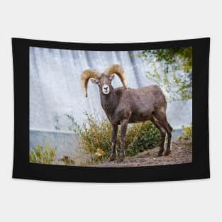 Bighorn sheep. Tapestry