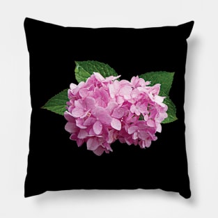 Hydrangeas - Pale Pink Hydrangea Pillow