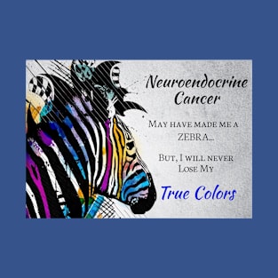 Color Stripe Zebra Neuroendocrine Cancer Mug,coffee mug,t-shirt,sticker,tote,bag,apparel,magnet,pin,hoodie,pillow T-Shirt