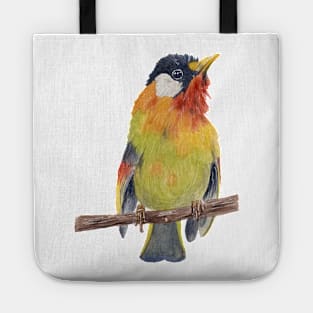 Colorful bird Tote