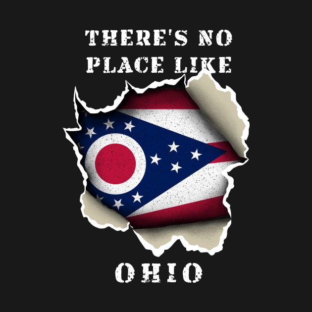 There's No Place Like Ohio by Lump Thumb