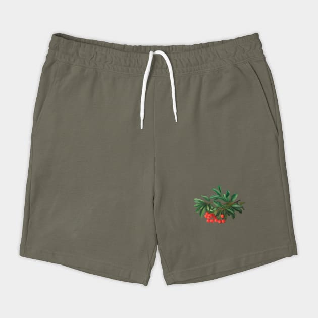 Red Berries with Glossy Green Leaves, Likely from a Plant or Shrub, Highlighting its Natural Beauty by animegirlnft