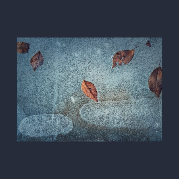 fallen leaves frozen in a puddle by psychoshadow