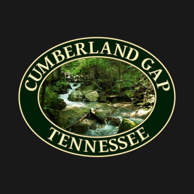 Mountain Stream in Cumberland Gap, Tennessee by GentleSeas