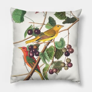 Summer Red Bird from Birds of America (1827) Pillow