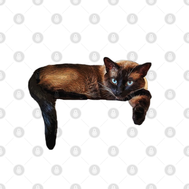 Siamese Cat Kitten Laying Down by ElegantCat