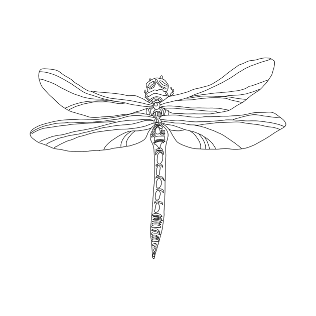 dragonfly by Minimalist Co.