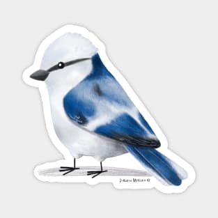 Azure Tit Magnet