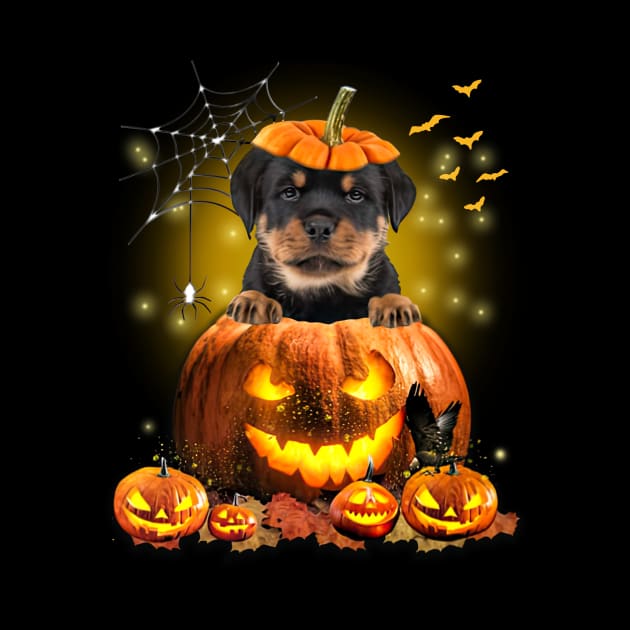 Rottweiler Spooky Halloween Pumpkin Dog Head by Mhoon 