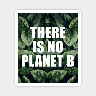 There is no planet b Magnet