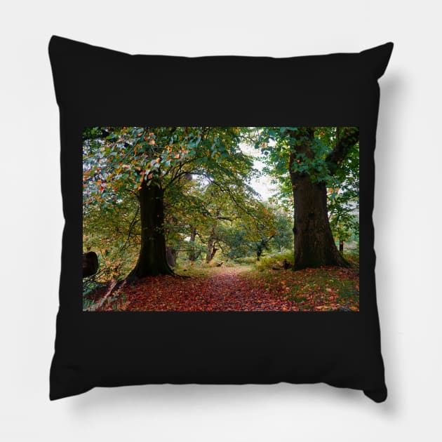 Autumn Woodland Path With Colorful Fallen Leaves Pillow by Harmony-Mind