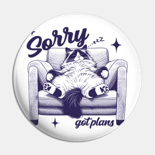 Sorry got plan Pin