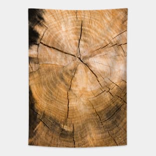 Wooden Tree Circle Texture Tapestry