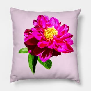 Magenta Peony in Sunshine Pillow