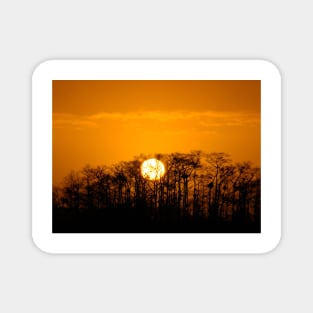 "Everglades Sunrise" Magnet