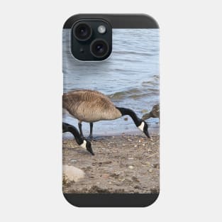 Canada Geese Along The Beach For Food Phone Case