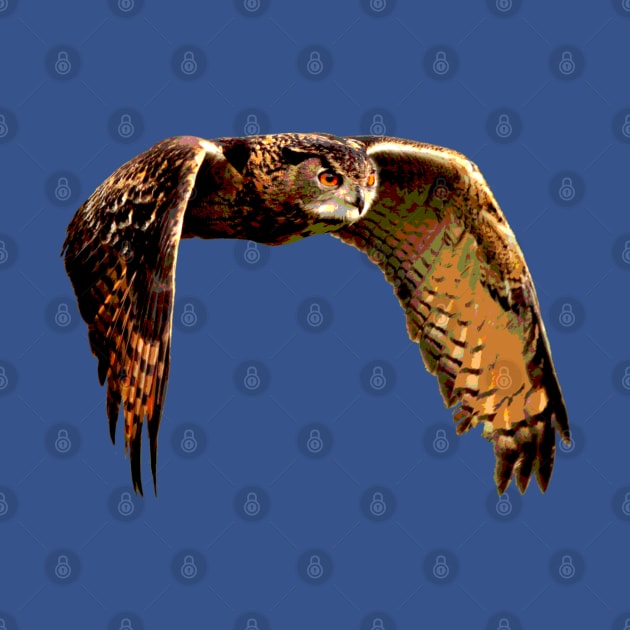 Owl in Flight Eurasian Owl by TheStuffInBetween