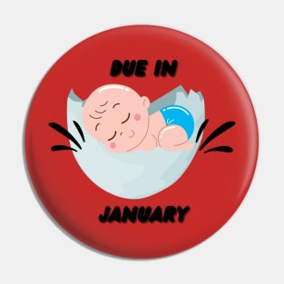 Due in January Great Gift for Family Pin