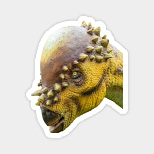 Head of a Pachycephalosaurus dinosaur Magnet