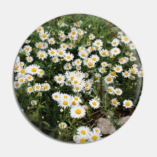 Field of Daisies Pin