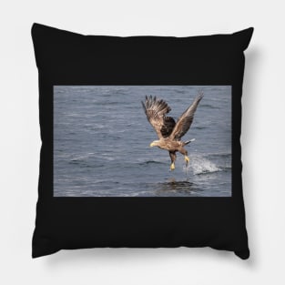 White-tailed eagle's successful fishing Pillow