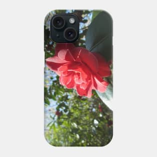 Japanese Camellia in the Spring Sunshine Phone Case