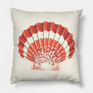 hand drawn lesser scallop shell Pillow