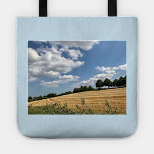 Rural German landscape in Schleswig-Holstein Tote