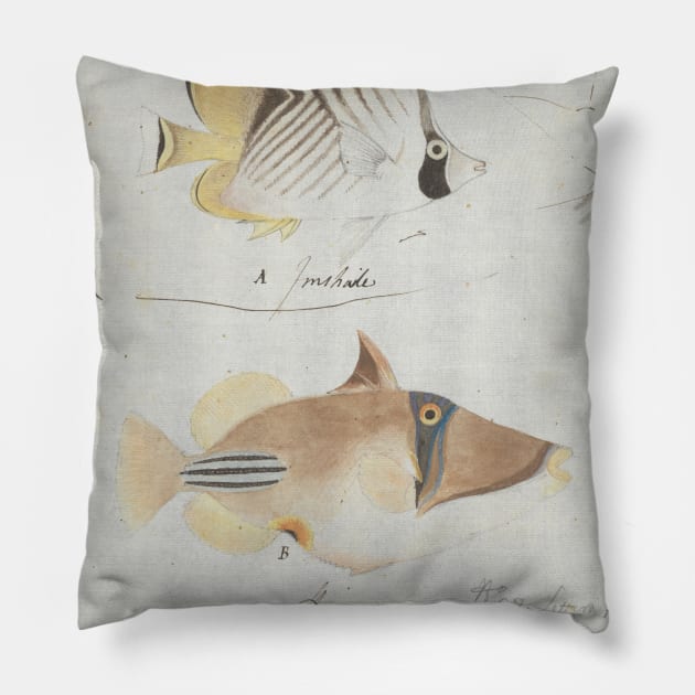 Four Fish by Luigi Balugani Pillow by Classic Art Stall