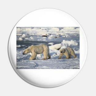 Polar Bear & Cub Walking on the Tundra, Churchill, Canada Pin