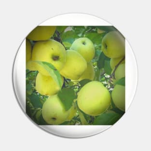 Golden Delicious Apple Harvest Pin