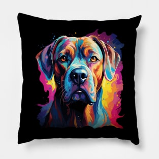 Boxer Rainbow Pillow