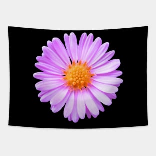 pink flower, blossom, nature, summer Tapestry