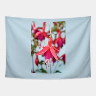 Fuchsia &#39;Pink Fizz&#39; Tapestry