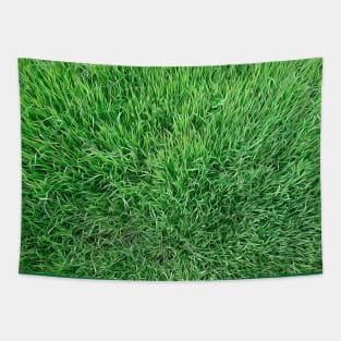 grass lawn Tapestry