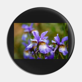 Blue Siberian irises Pin