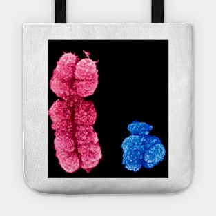 X and Y chromosomes (C003/0729) Tote